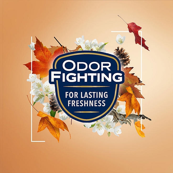 Glade Automatic Spray Air Freshener Refills, Cashmere Woods, 4 ct. - Image 7