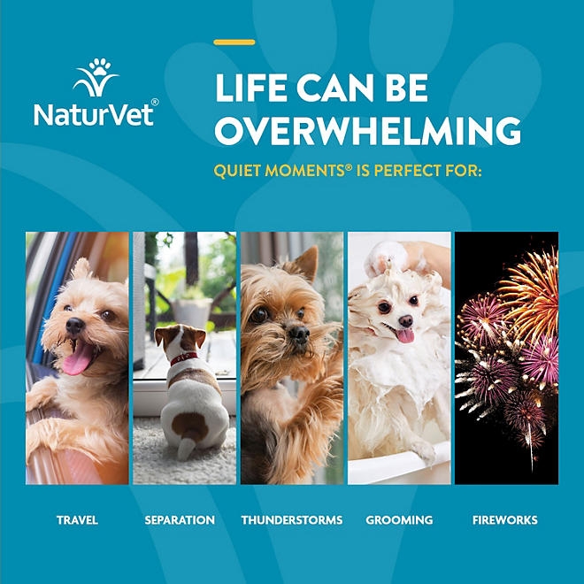 NaturVet, Quiet Moments Plus Melatonin, Soft Chews for Dogs, 240 ct. - Image 6