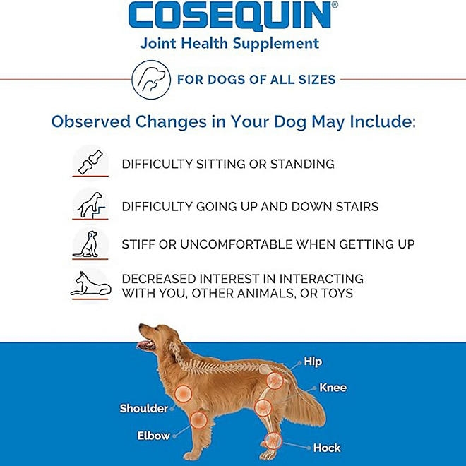 Nutramax Cosequin Maximum Strength Joint Health Dog Supplement with MSM and Hyaluronic Acid, 180 ct. - Image 5