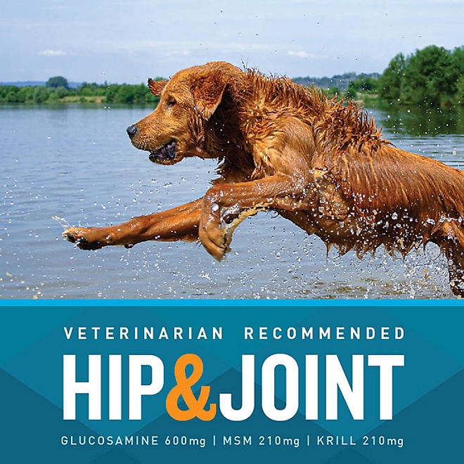 VETIQ Maximum Strength Hip & Joint Soft Dog Chews, Chicken Flavored, 180 ct. - Image 4