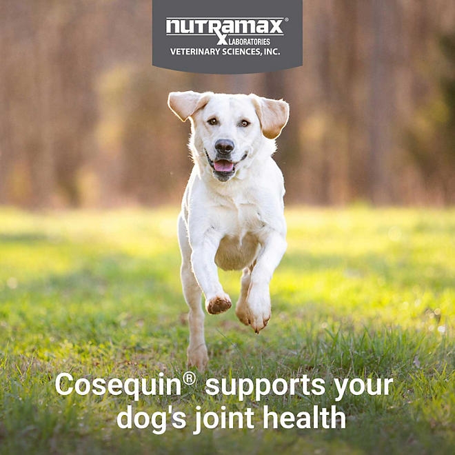 Nutramax Cosequin Joint Health Supplement for Dogs with Glucosamine, Chondroitin, MSM, Omega-3's and HA, 150 Soft Chews - Image 4