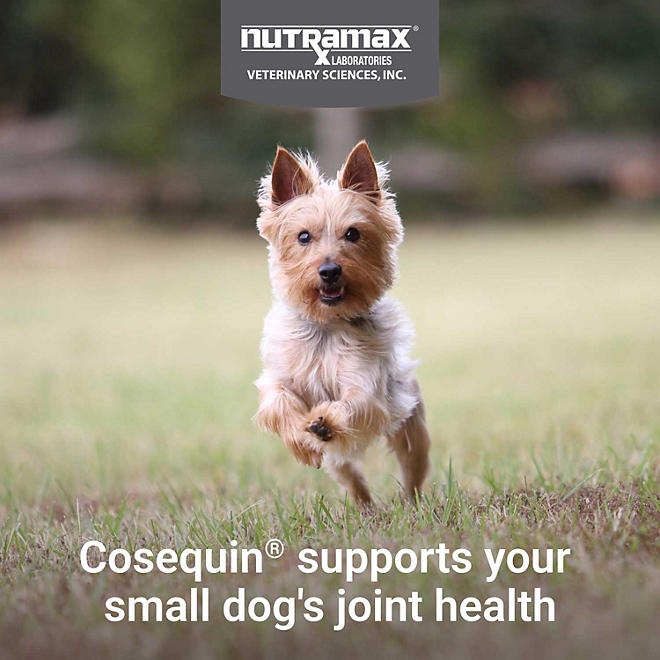 Nutramax Cosequin Minis Maximum Strength Joint Health Supplement, 45 Soft Chews - Image 5