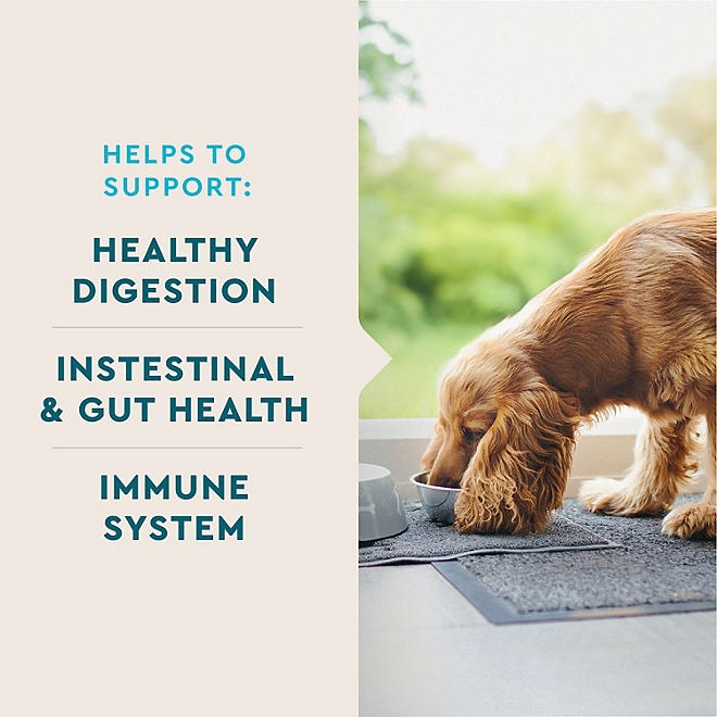 VETIQ Probiotic Soft Dog Chews, Hickory Smoke Flavored 60 ct., 2 pk. - Image 6