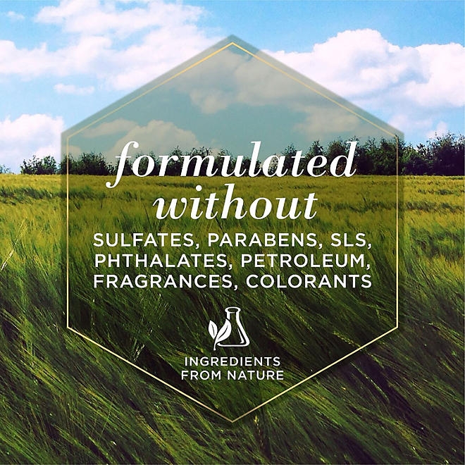 Burt's Bees, Oatmeal Dog Shampoo, 32 fl. oz., 2 pk. - Image 7