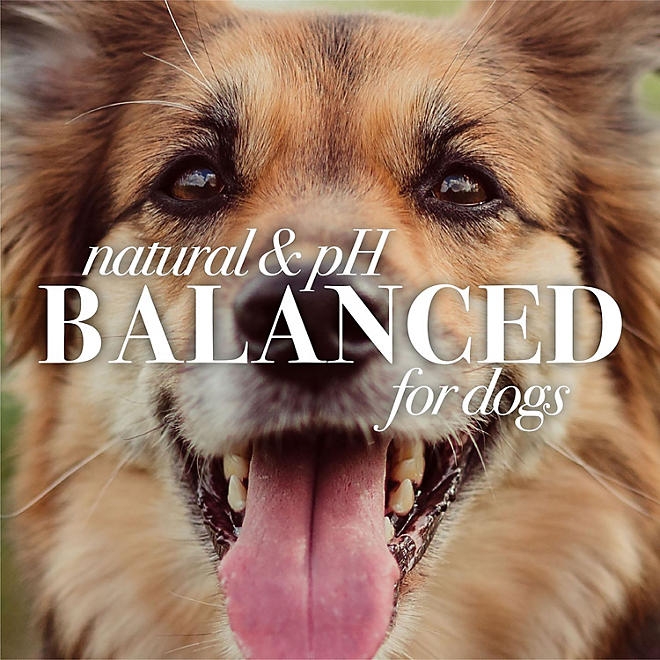 Burt's Bees, Oatmeal Dog Shampoo, 32 fl. oz., 2 pk. - Image 9