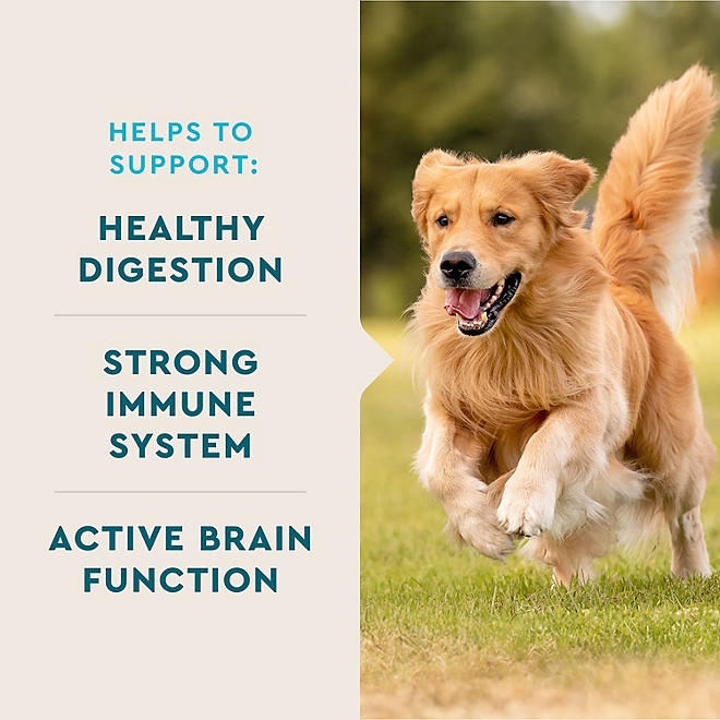 VETIQ Multivitamin Soft Dog Chews, Hickory Smoke Flavored 60 ct., 2 pk. - Image 6