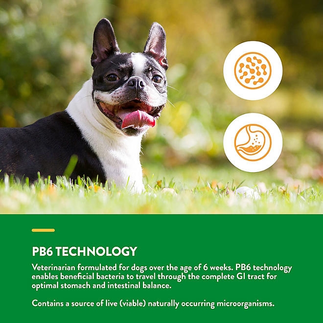 NaturVet, Advanced Probiotics and Enzymes Soft Chews for Dogs, 240 ct. - Image 7