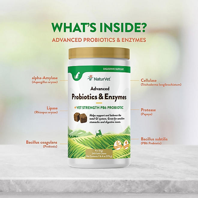 NaturVet, Advanced Probiotics and Enzymes Soft Chews for Dogs, 240 ct. - Image 8