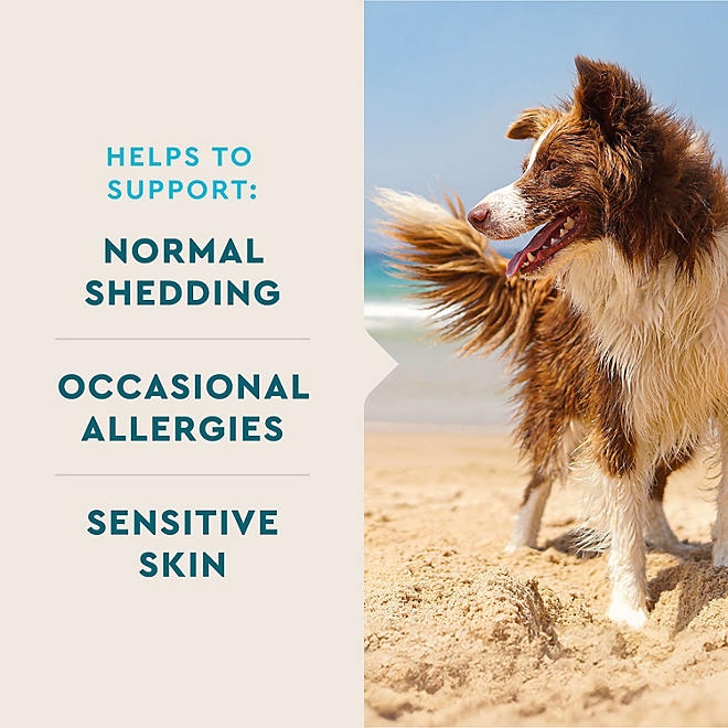 VETIQ Skin & Coat Soft Dog Chews, Hickory Smoke Flavored, 60 ct., 2 pk. - Image 6