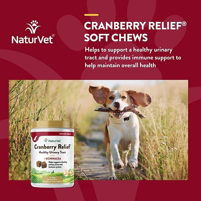 NaturVet, Cranberry Relief Plus Echinacea Soft Chews for Dogs, 120 ct. - Image 6