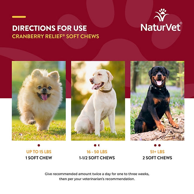 NaturVet, Cranberry Relief Plus Echinacea Soft Chews for Dogs, 120 ct. - Image 9