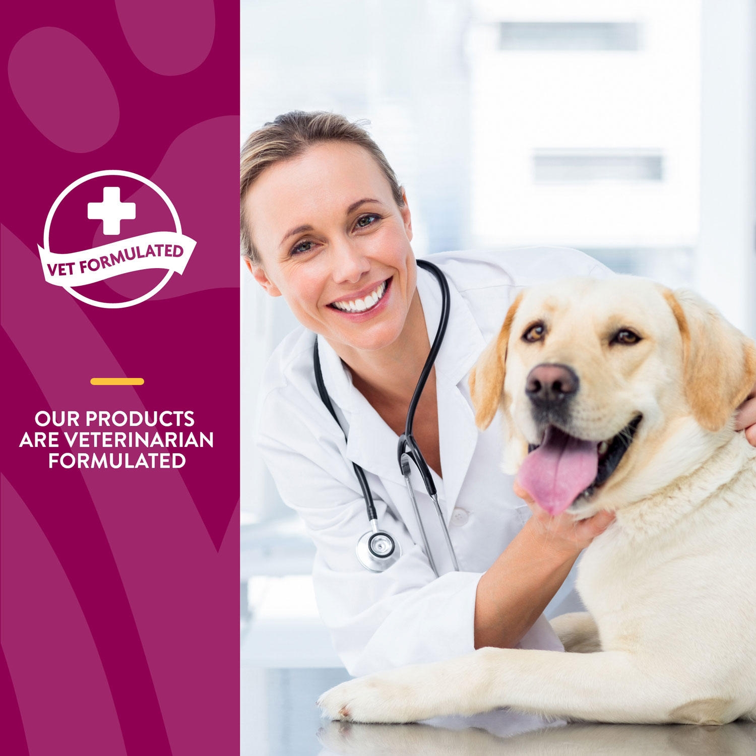 NaturVet ArthriSoothe-GOLD Level 3 Advanced Joint Care Supplements for Dogs and Cats, 240 ct., Choose Type - Image 9