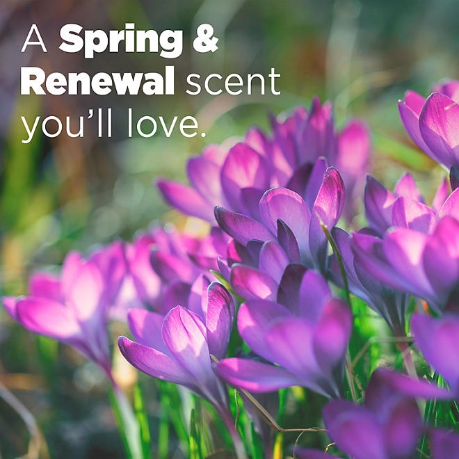 Tide Power PODS Laundry Detergent Pacs + Febreze Odor Eliminators, Spring & Renewal Scent (72 ct.) - Image 6