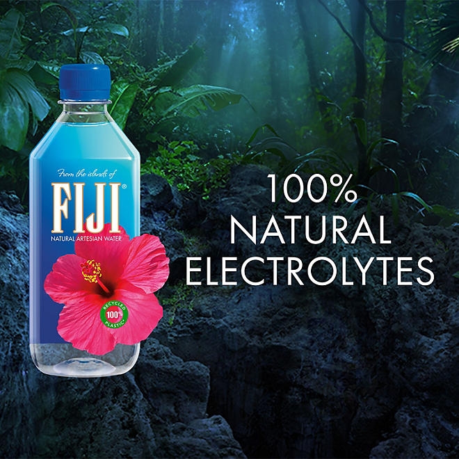 FIJI Natural Artesian Water, 16.9 fl. oz., 24 pk. - Image 6